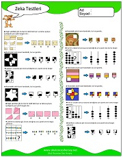 Zeka Gelişim Testleri